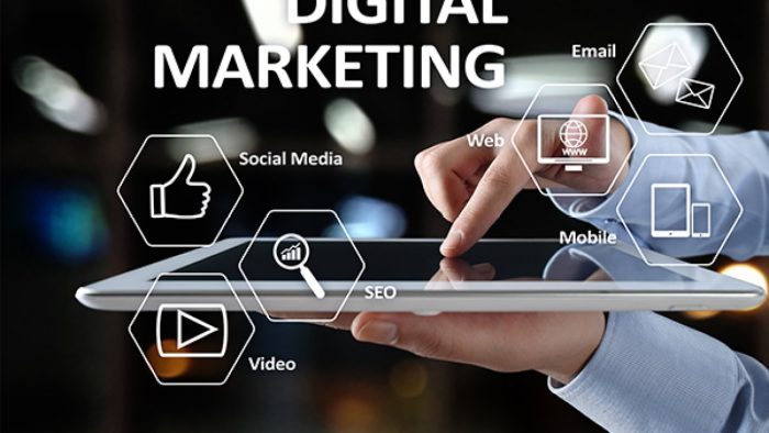 Grow Your Business With Digital Marketing Expert