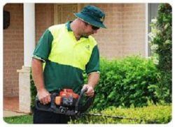 Find Garden Care Services Near Perth