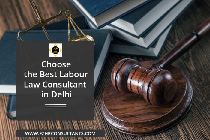 Choose the Best Labour Law Consultants