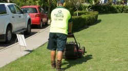 Lawn Mowing Services In Heidelberg Heights