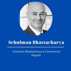 Schulman Bhattacharya | Experienced Litigator