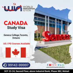 Study In Canada With Overall 6 Bands In IELTS / PTE