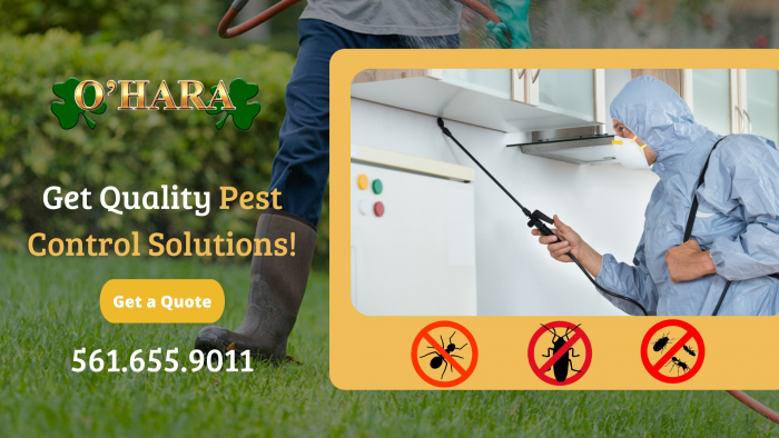 Keep Your Home Safe from Unwanted Pests & Rodents