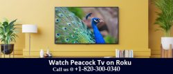 Watch Peacock Tv on Roku