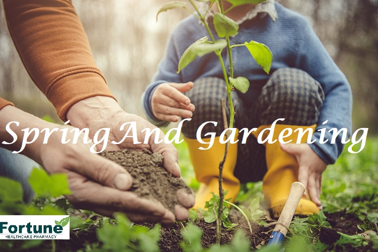 Spring And Gardening