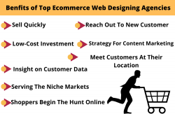 Top Ecommerce Web Designing Agencies