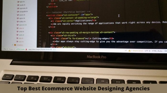 Top Ecommerce Web Designing Agencies