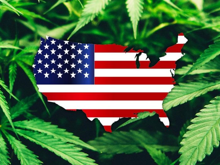 Cannabis Be Legal Nationwide