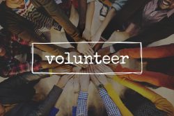 Social Volunteer & Helper