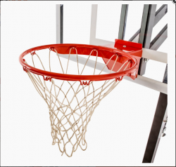 Tired of Searching for the Best Wall Mount Basketball Hoops for Sale? This Is a Must-Read!