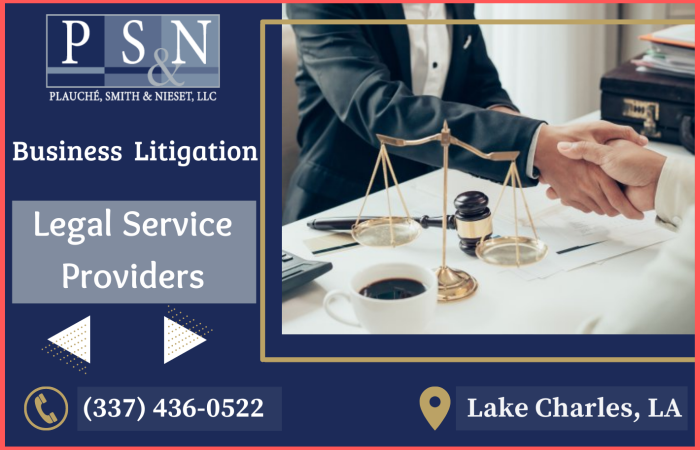 Advantages of Business Litigation Attorney