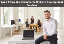 Avail Affordable Ecommerce Website Development Services