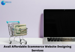 Avail Affordable Ecommerce Website Designing Services