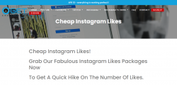 Buy instagram likes cheap