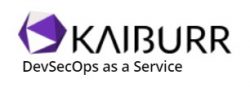 Kaiburr- Continuous Improvement