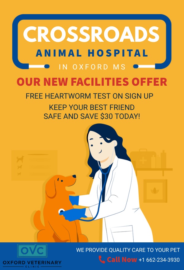 Crossroads Animal Hospital | Veterinarian Near Me in Oxford MS
