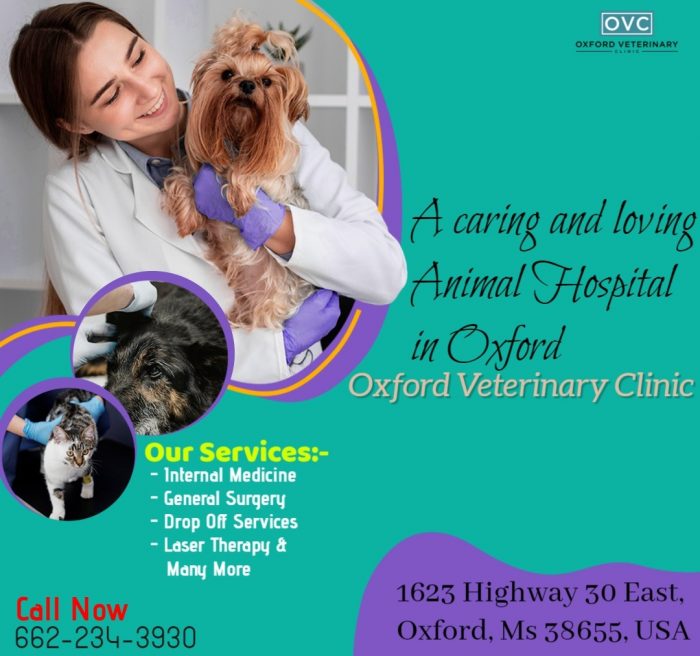Best Veterinarian in Oxford MS | Animal Hospital Mississippi