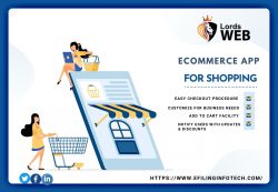 eCommerce web or app development with 30% discount