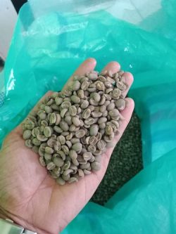 Best Indonesian Coffee Beans