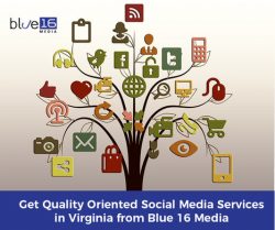 Get Quality Oriented Social Media Services in Virginia from Blue 16 Media