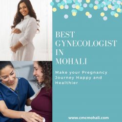 Make your Pregnancy Journey Healthier by visiting Best Gynecologist in Mohali