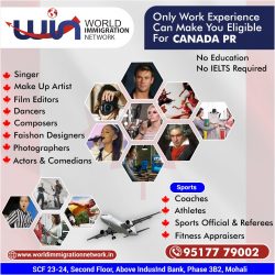 Canada PR – With Self Employed Category
