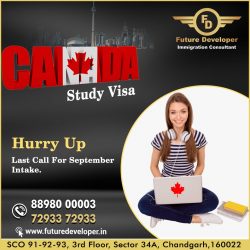 Study In UK Without IELTS