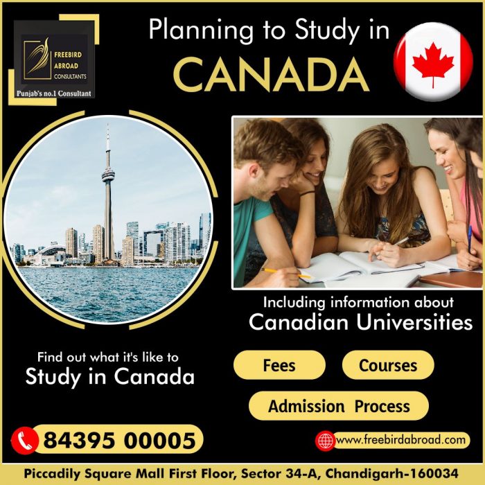Plan To Study In Canada