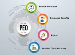 Tips to Hire PEO Payroll Providers