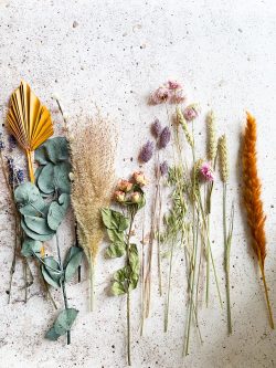 Buy Premium Dried Flowers Online at VedaOils