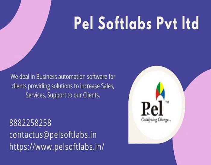 Pel Softlabs Pvt Ltd – leading IT Company