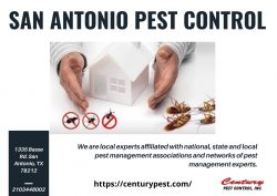 San Antonio Pest Control – Century Pest Control