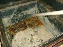 4 Vital Signs That Your Grease Trap are Unmaintained