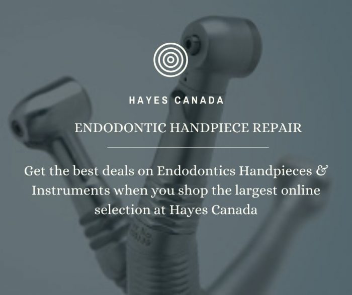 Endodontic Handpiece Repair at Hayes Canada