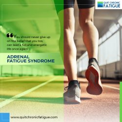 Learn About Adrenal Fatigue Syndrome- Quit Chronic Fatigue