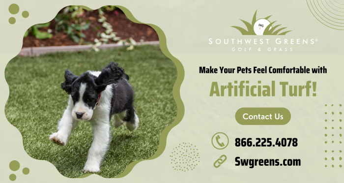 Get Safe and Durable Artificial Turf for Your Pets!
