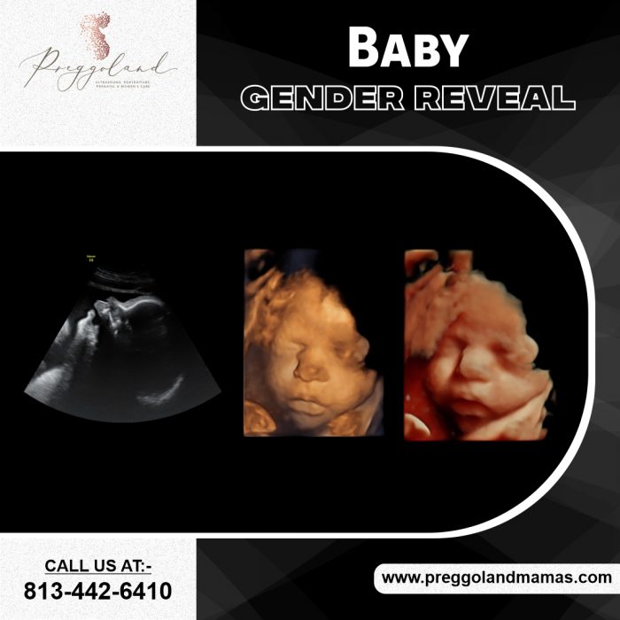Baby Gender Reveal