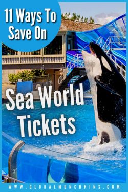11 Easy ways to Save Money at Sea World