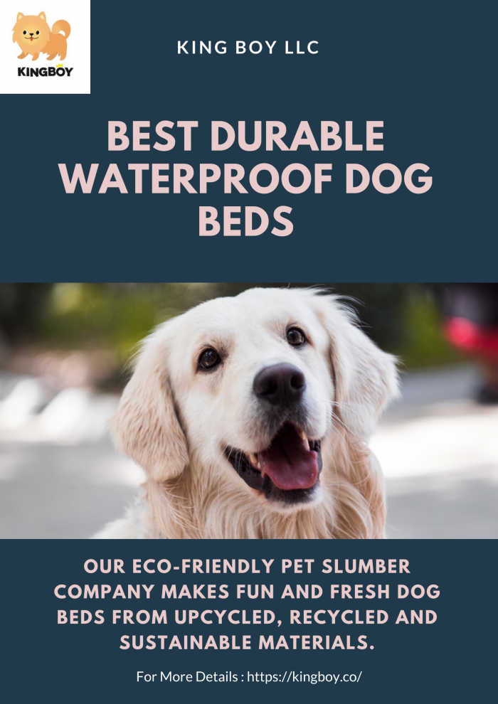 Best Durable Waterproof Dog Beds