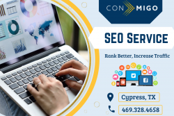 Best SEO Services in Texas