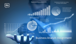 Business Analyst Assignment Help