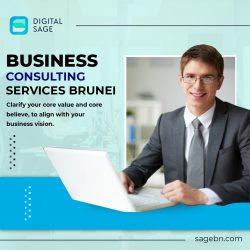 Top Management Consulting Firms Brunei – Sage BN