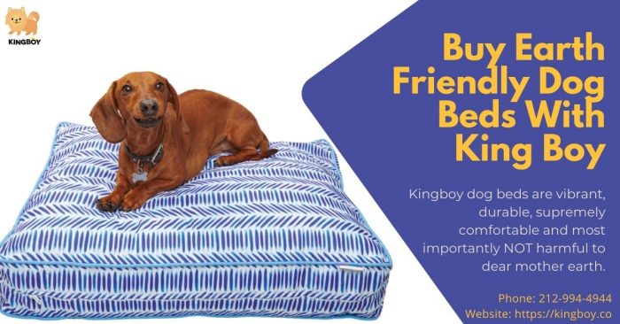 Buy Eco-Friendly Dog Beds With King Boy