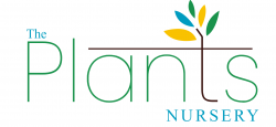 The plants nursery – buy plants online Bangalore