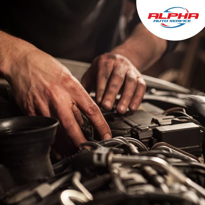 Suitable and Professional Services of Alpha Cars in Mesa, USA