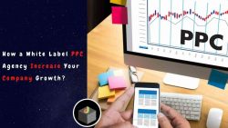 How a White label PPC Agency Work with a Company?