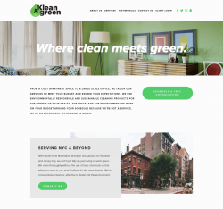 Cleaning services in nyc