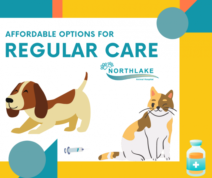 Keep Your Pets Healthy All Year Long