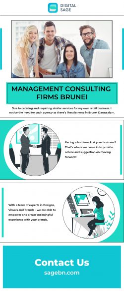 Management Consulting Firms Brunei – Sage BN