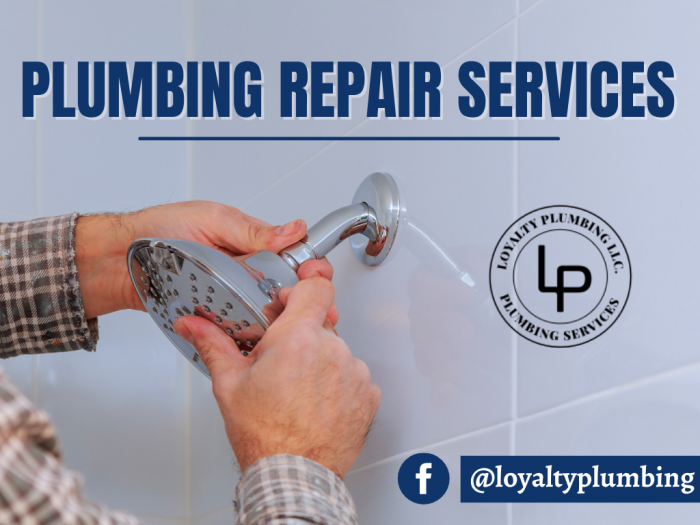 Plumbing Specialists For The Whole House